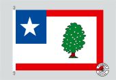 Mississippi Infantry Flagge