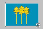 Dimitrowgrad Flagge