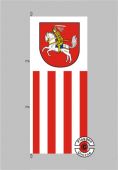 Dithmarschen Hochformat Flagge