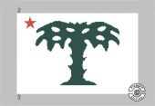 Carolina Volunteers gemustert Flagge