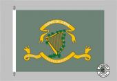 10th Tennessee Infantry Regiment of Volunteers Sons of Erin Flagge