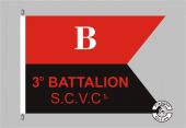 Kompanie B 3rd Battalion Flagge
