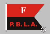 Kompanie F Palmetto Battalion Flagge
