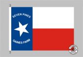 1st Texas Infantry Regiment Flagge