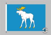 Joschkar-Ola Flagge