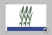 Kamyschin Flagge