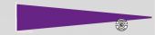 Langwimpel Violette