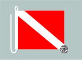Signalflagge Taucherflagge Michigan