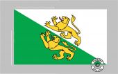 Thurgau Tischflagge