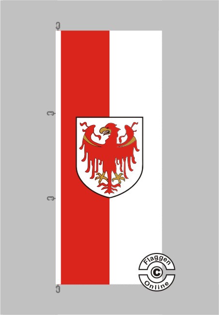 Fahne Flagge Südtirol 20 x 30 cm Bootsflagge Premiumqualität 