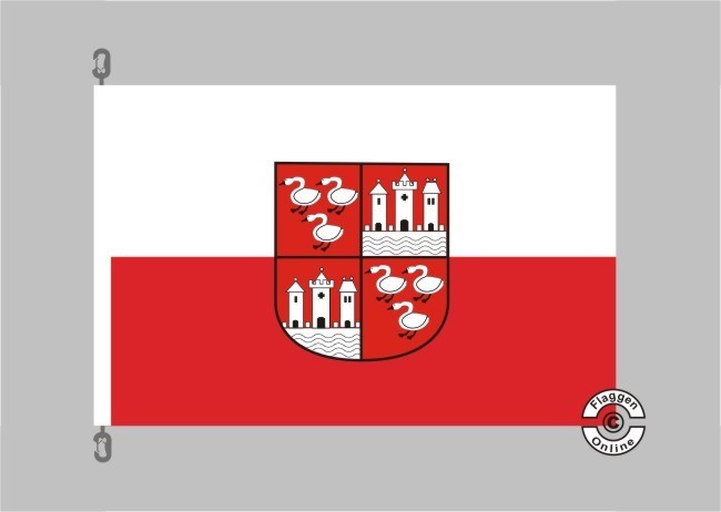 Fahnen Flagge Zwickau 90 x 150 cm 