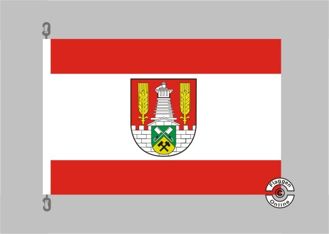 90 x 150 cm Premium Fahnen Flagge Salzgitter 